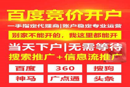 成功SEM竞价托管案例分析报告